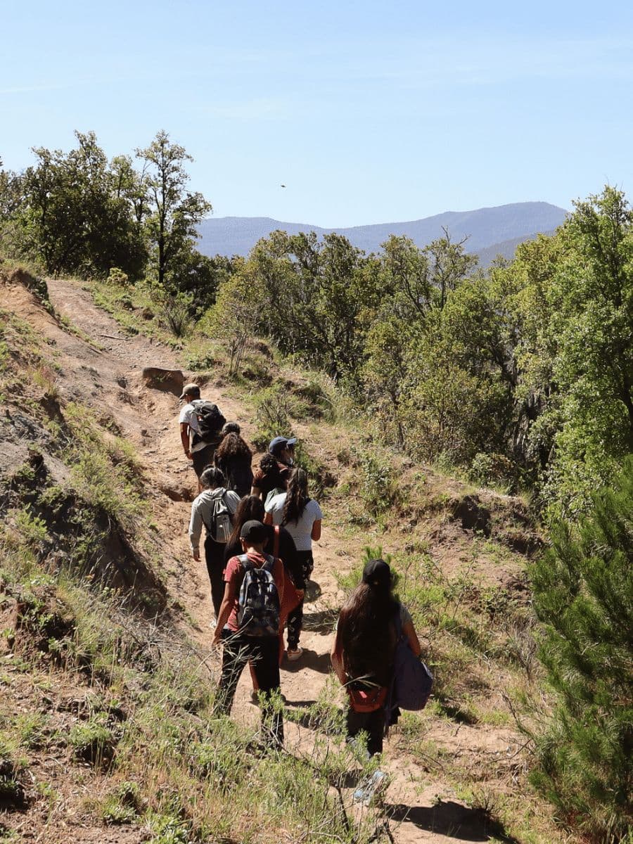 Estudiantes caminando por un sendero de bosque