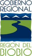 Gobierno Regional del Biobío